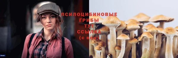 амф Лихославль