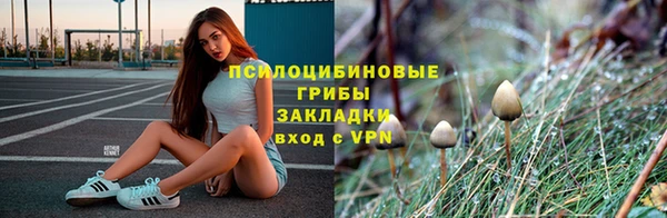 apvp Лабытнанги