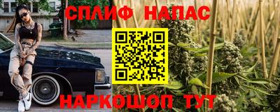 мяу мяу мука Абакан