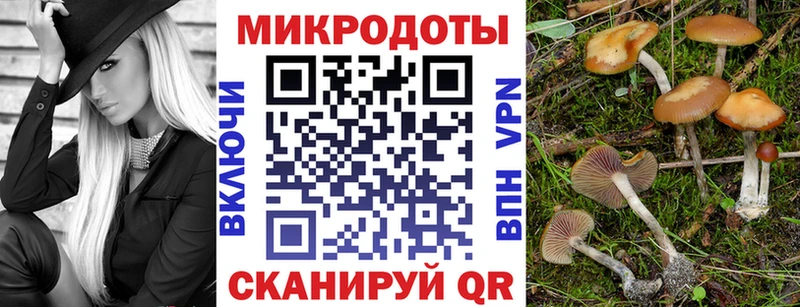 Псилоцибиновые грибы Psilocybe  Стерлитамак 