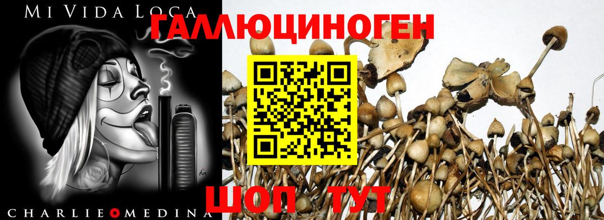 Стерлитамак  где купить наркоту  Вход с VPN  Галлюциногенные грибы Magic Shrooms  Галлюциногенные грибы ЛСД 