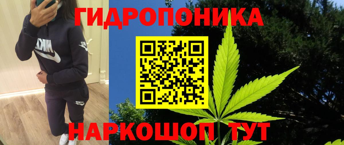 Бошки Шишки семена  Вход с VPN  Марихуана план  Конопля White Widow  Каннабис индика  Стерлитамак 